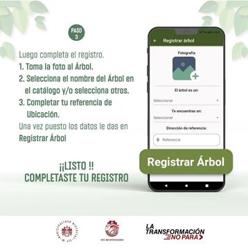 Descripción: arboleate 4