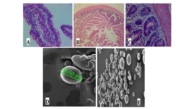 Descripción: Descripción: Recorte de pantalla