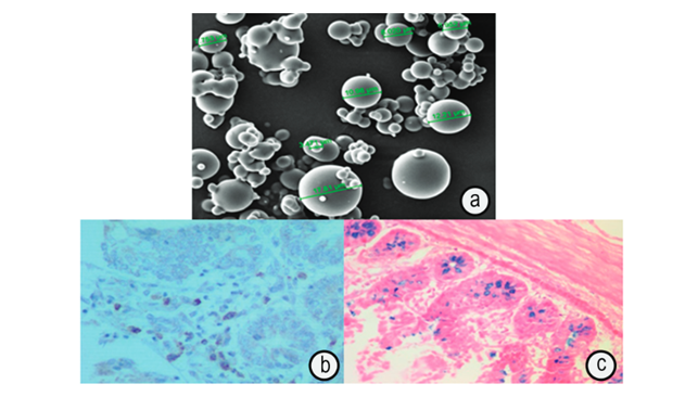 Descripción: Descripción: Recorte de pantalla